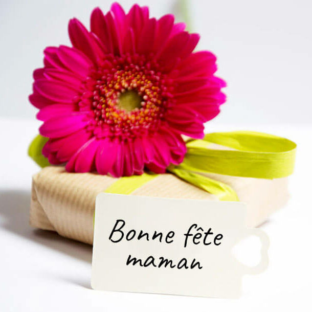 cropped-lococoon-actu-fete-meres-visuel-rect.jpg